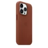 iPhone 13 Pro Series MagSafe Leather Case - IC Pop Animation Cover | Brown